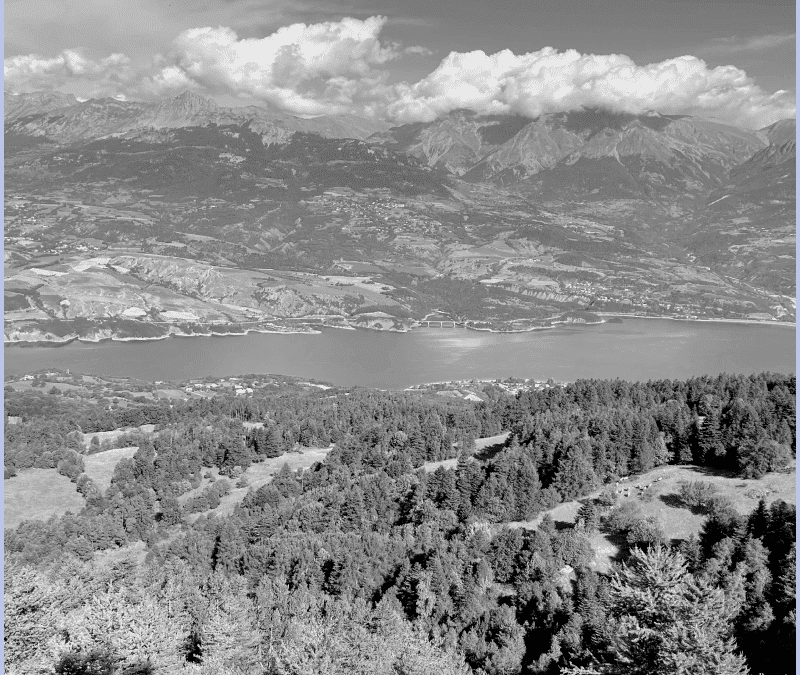 Le Green-Coding ou l’art de préserver l’environnement sur Internet.